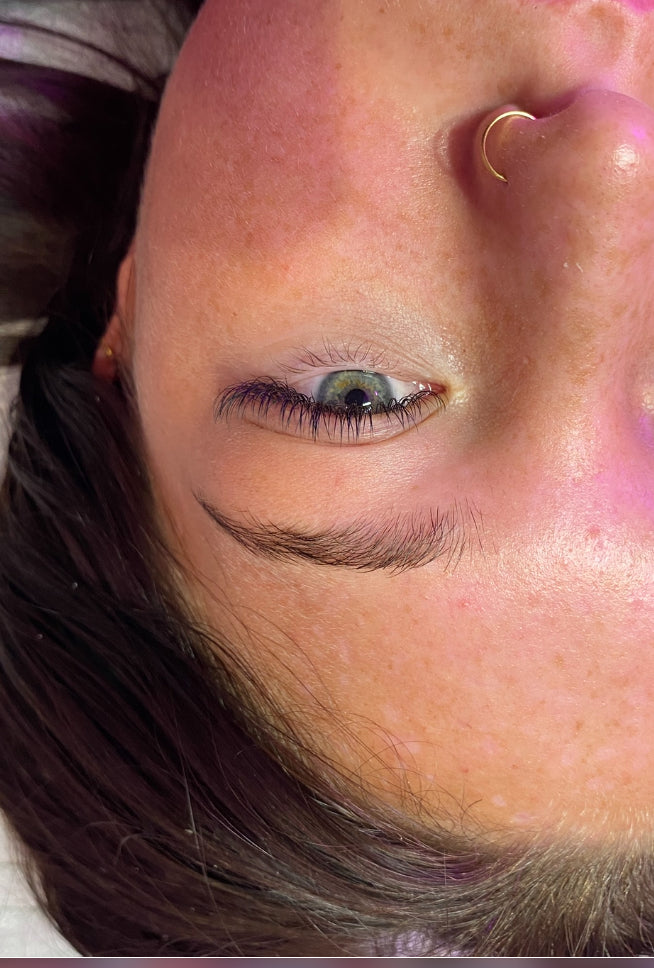 Flat Lash Classics