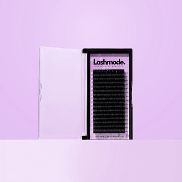 Flat Lash Classics