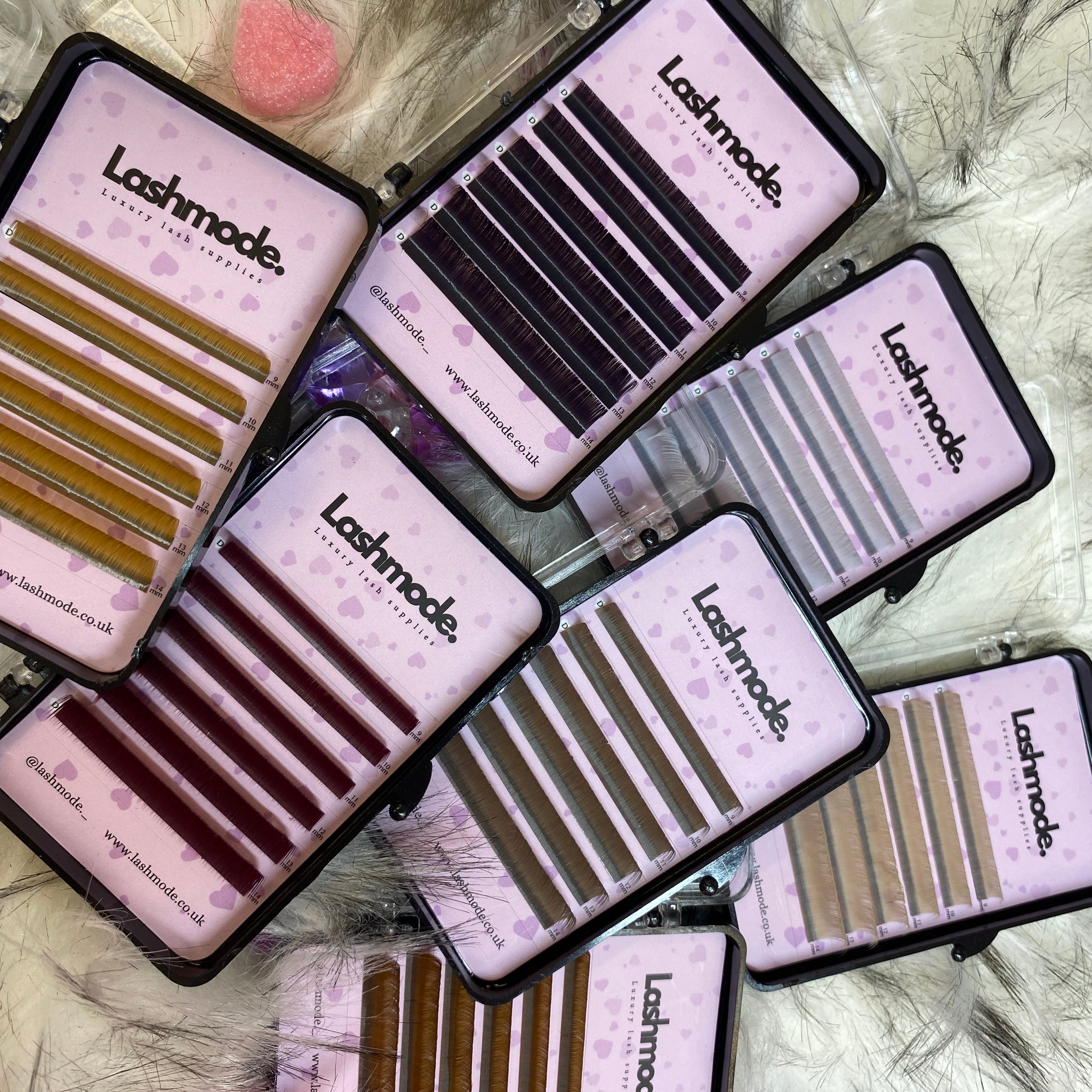 Coloured lash trays