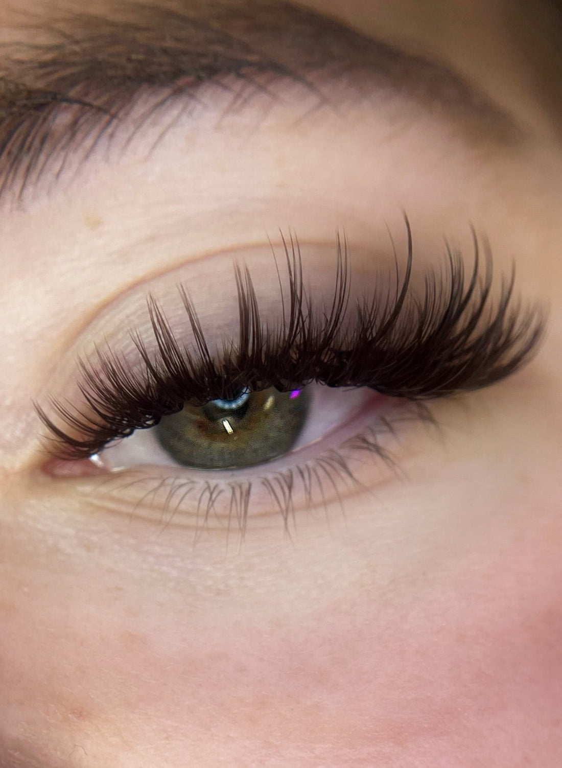 Dark Brown Volume Lashes