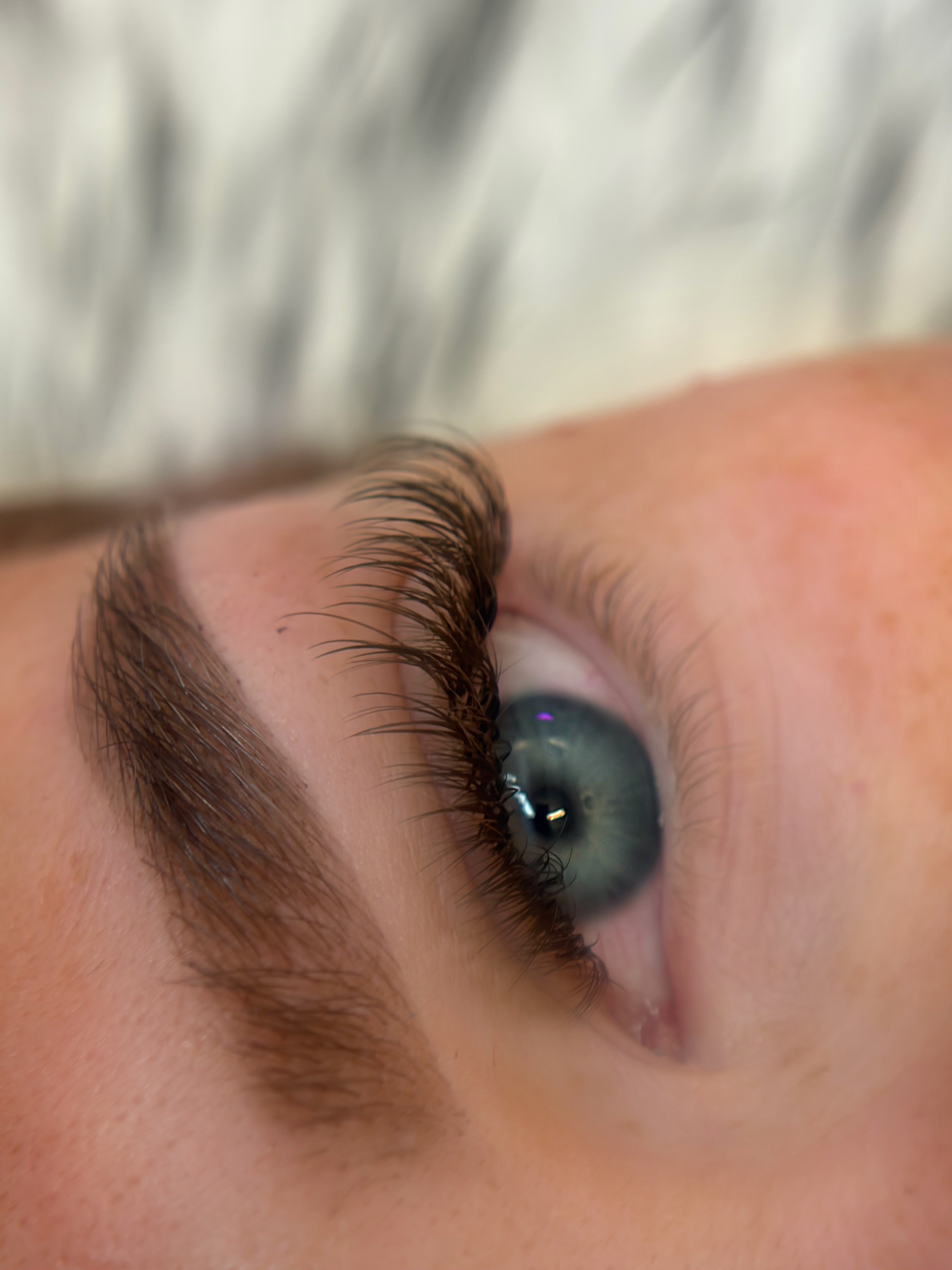 Light Brown Volume Lashes