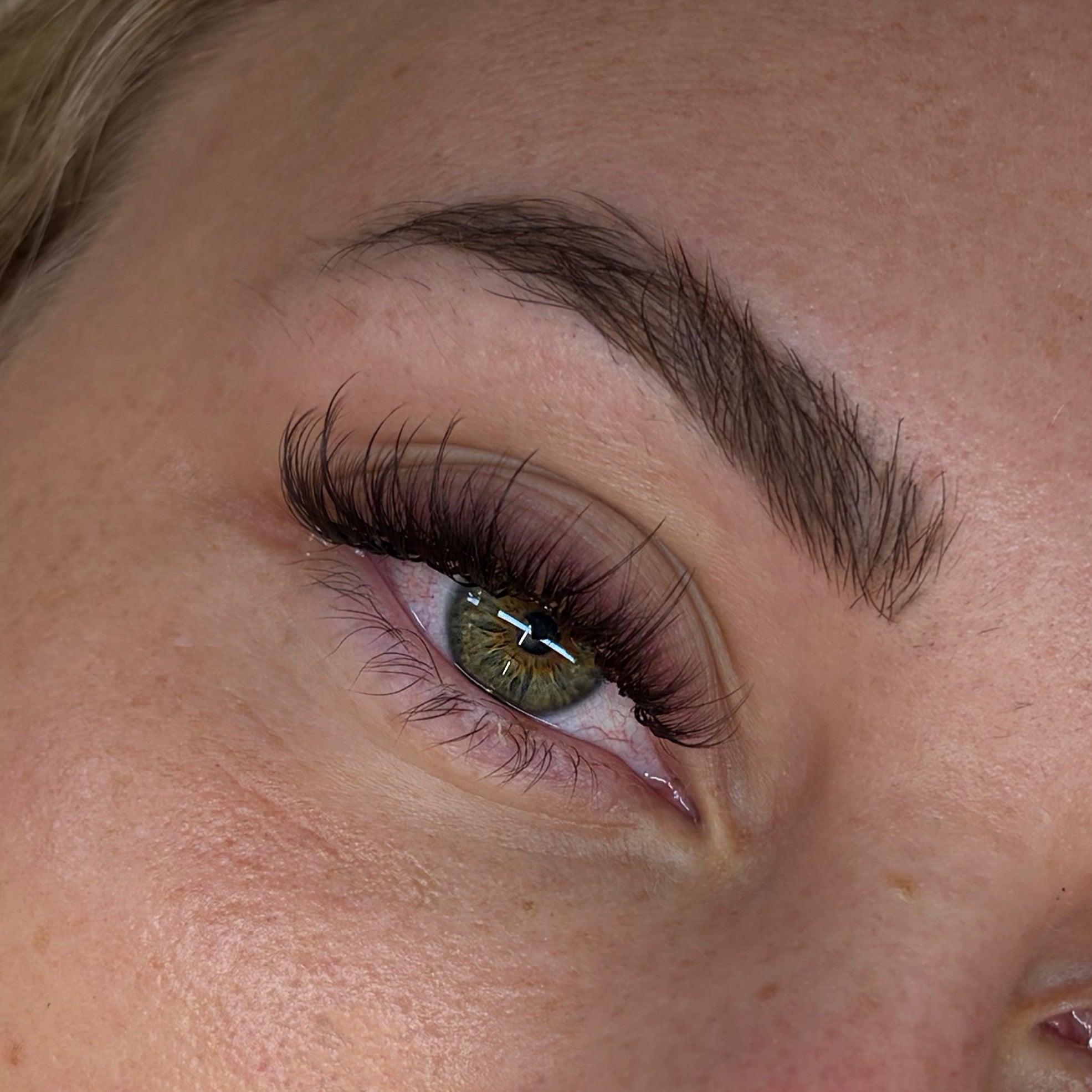 Dark Brown Volume Lashes