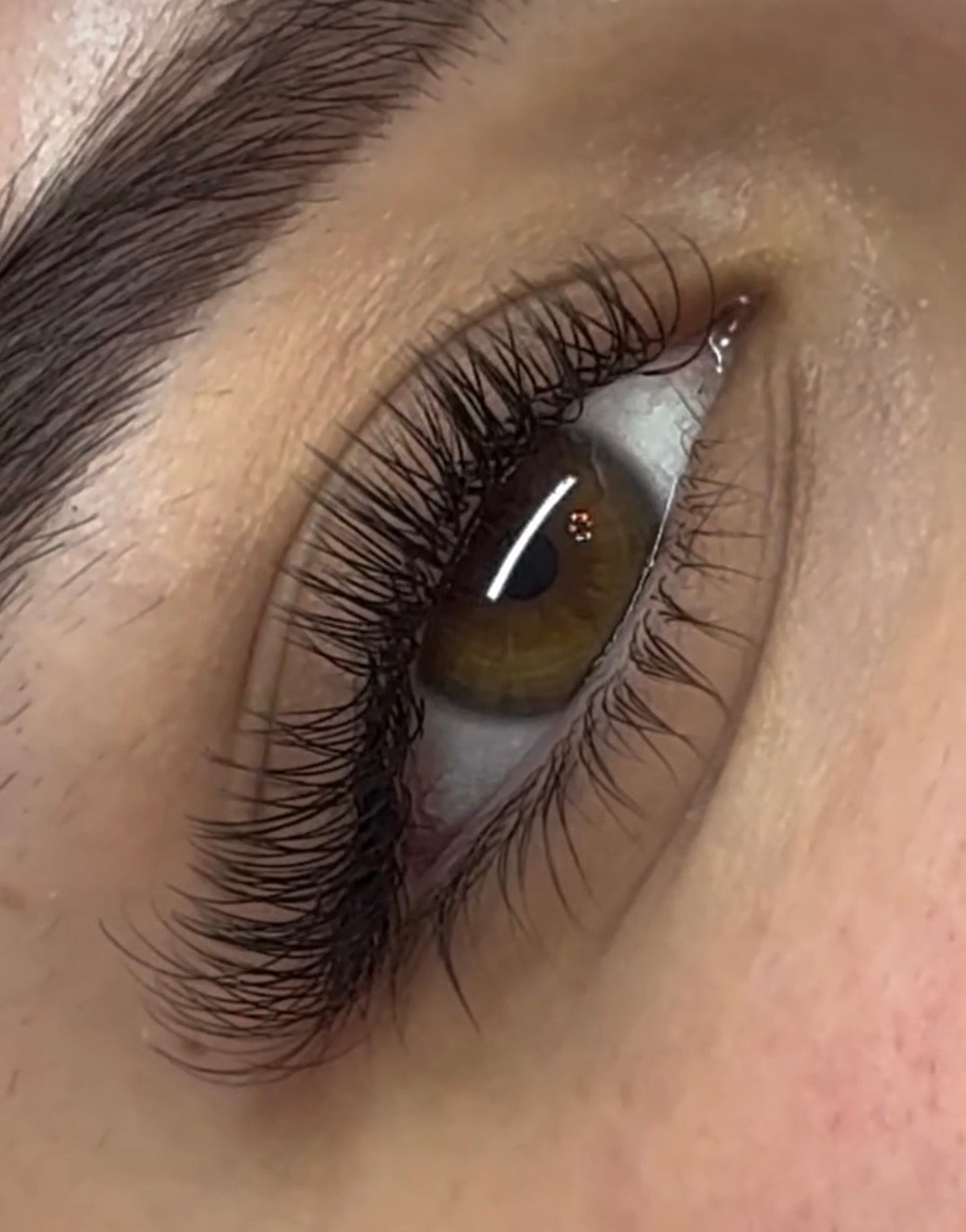 Flat Lash Classics
