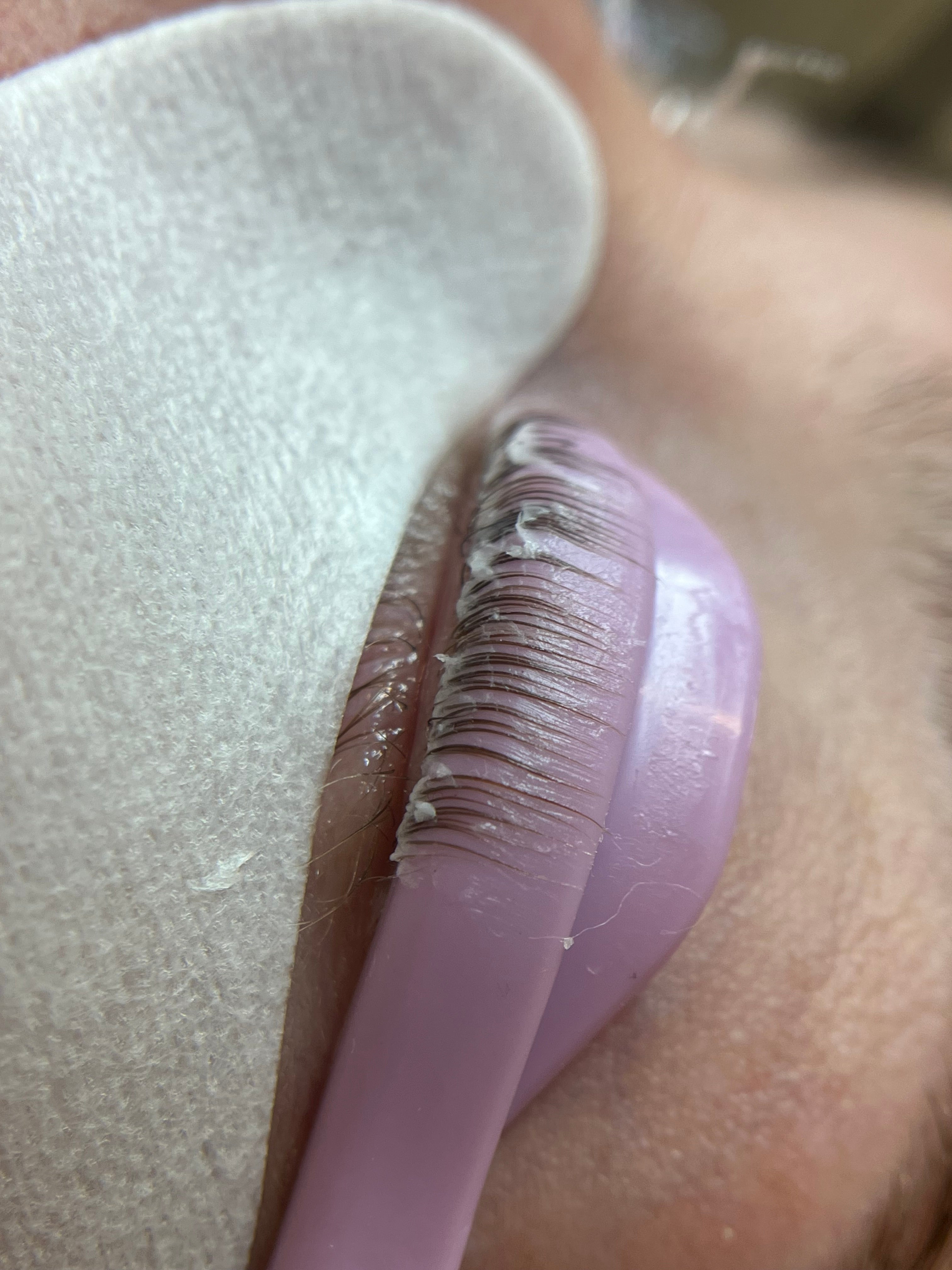 L curl Glueless Lash Lifting Shields