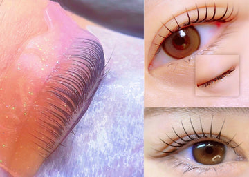Teardrop Lash Lifting Glueless Jelly Shields