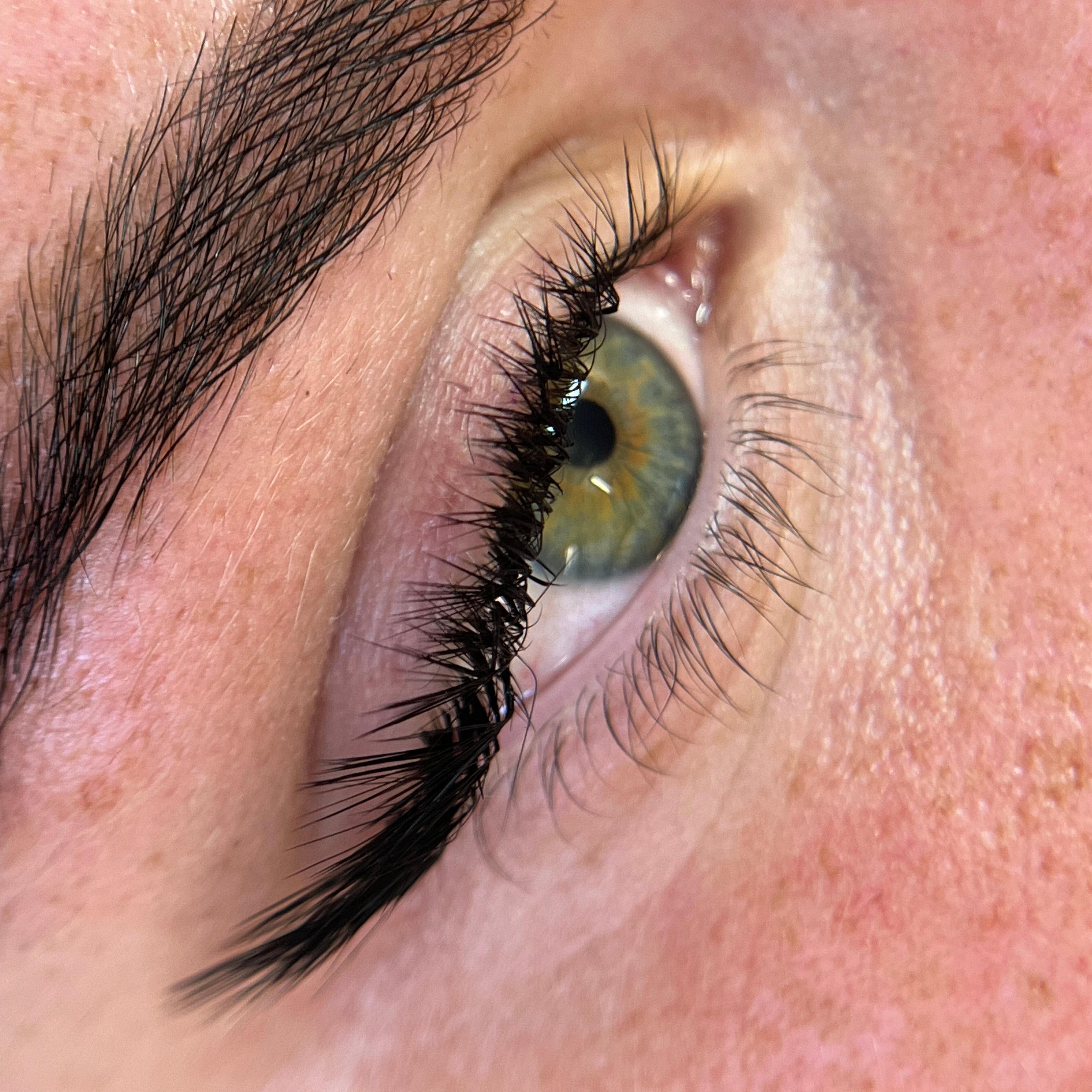 L Curl Volume Lash Trays