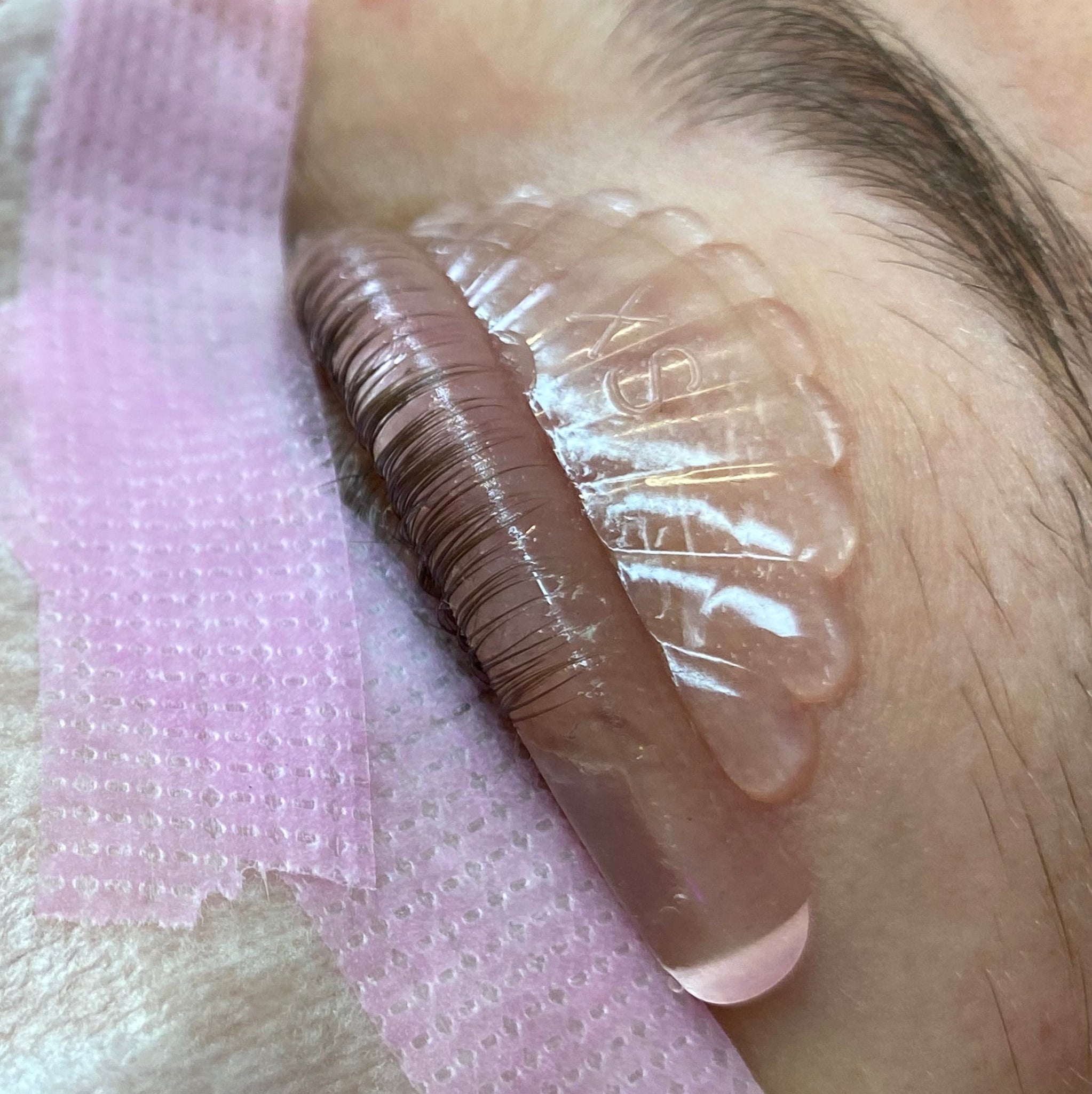 C curl Glueless Jelly Lash Lift Shields