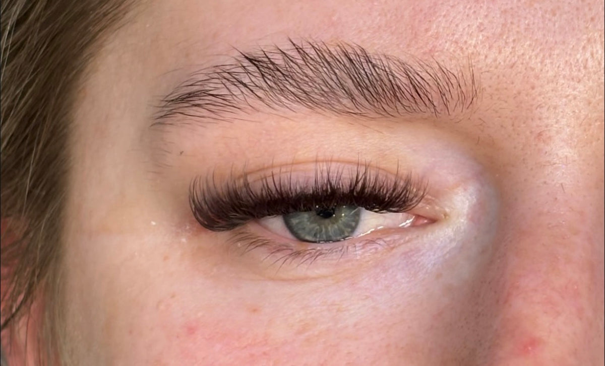 Dark Brown Volume Lashes