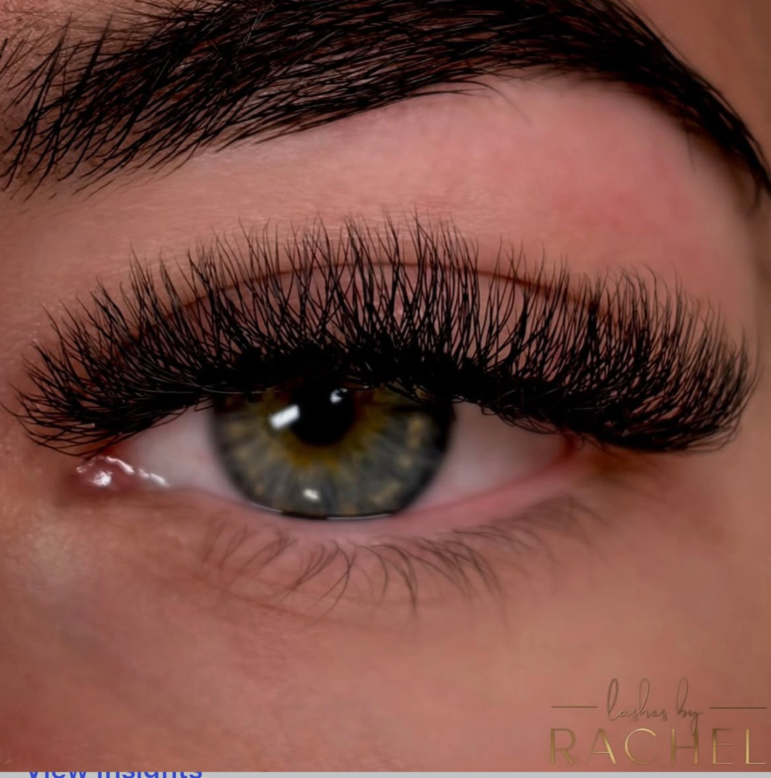 W Clover Lash Tray 3D-6D