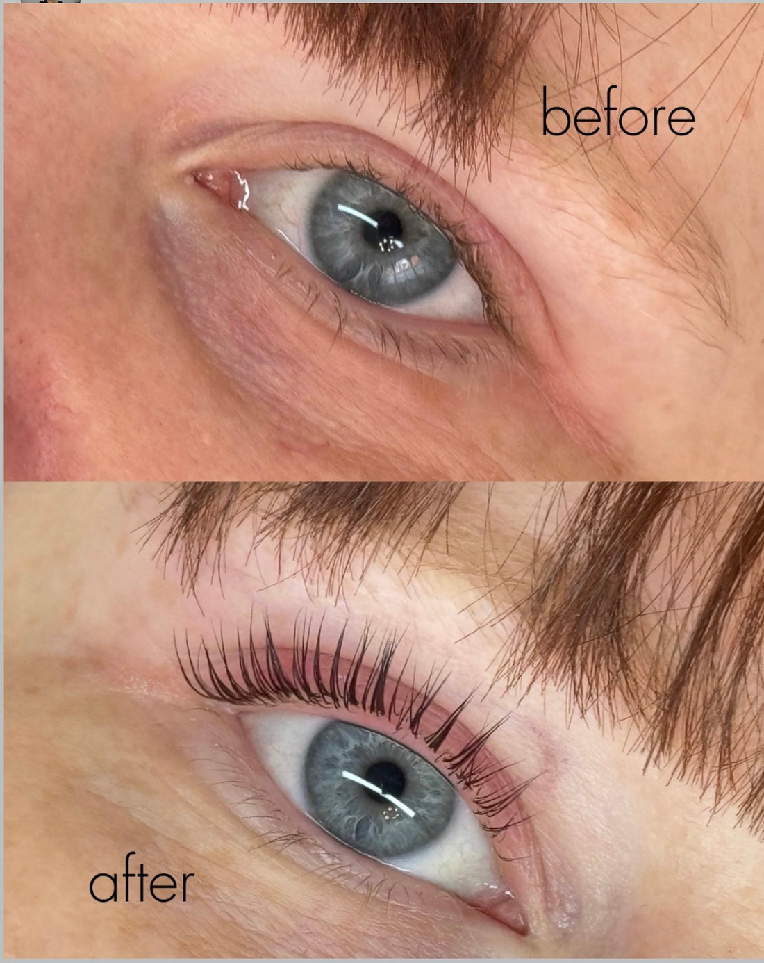 UpLiftd. Korean Lash Lift Step 1-3 & Powder Bundle